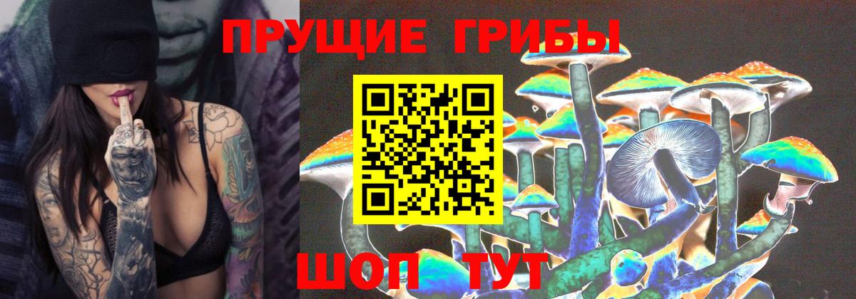Галлюциногенные грибы GOLDEN TEACHER Борзя