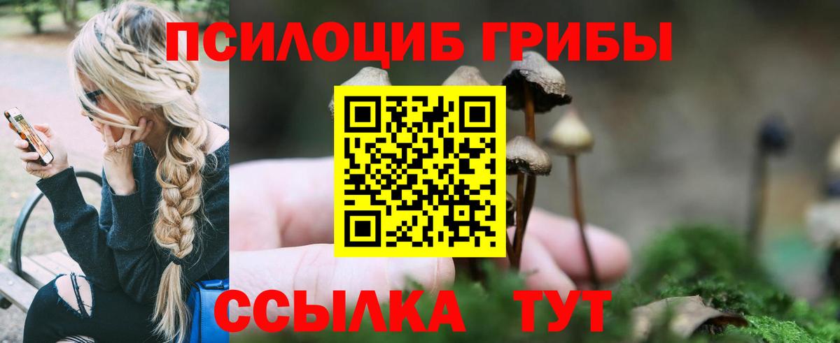 купить наркотик  Вход с VPN  Борзя  Галлюциногенные грибы прущие грибы 
